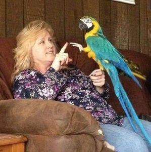 Meet your Posher, Carol